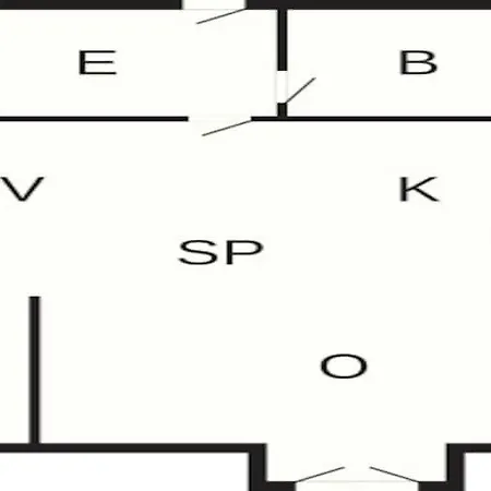 Vi